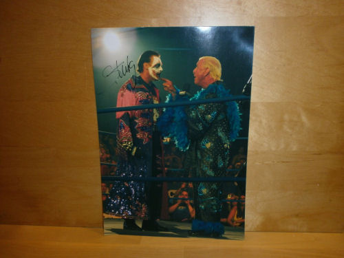 Sting Signed Colour Photo Sting Signed Colour Photo