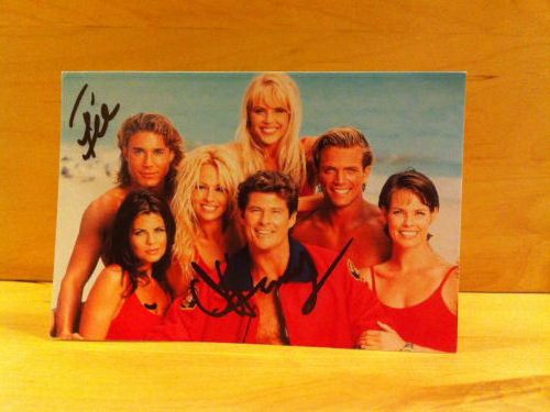 David Hasselhoff Signed Colour Photo David Hasselhoff Signed Colour Photo