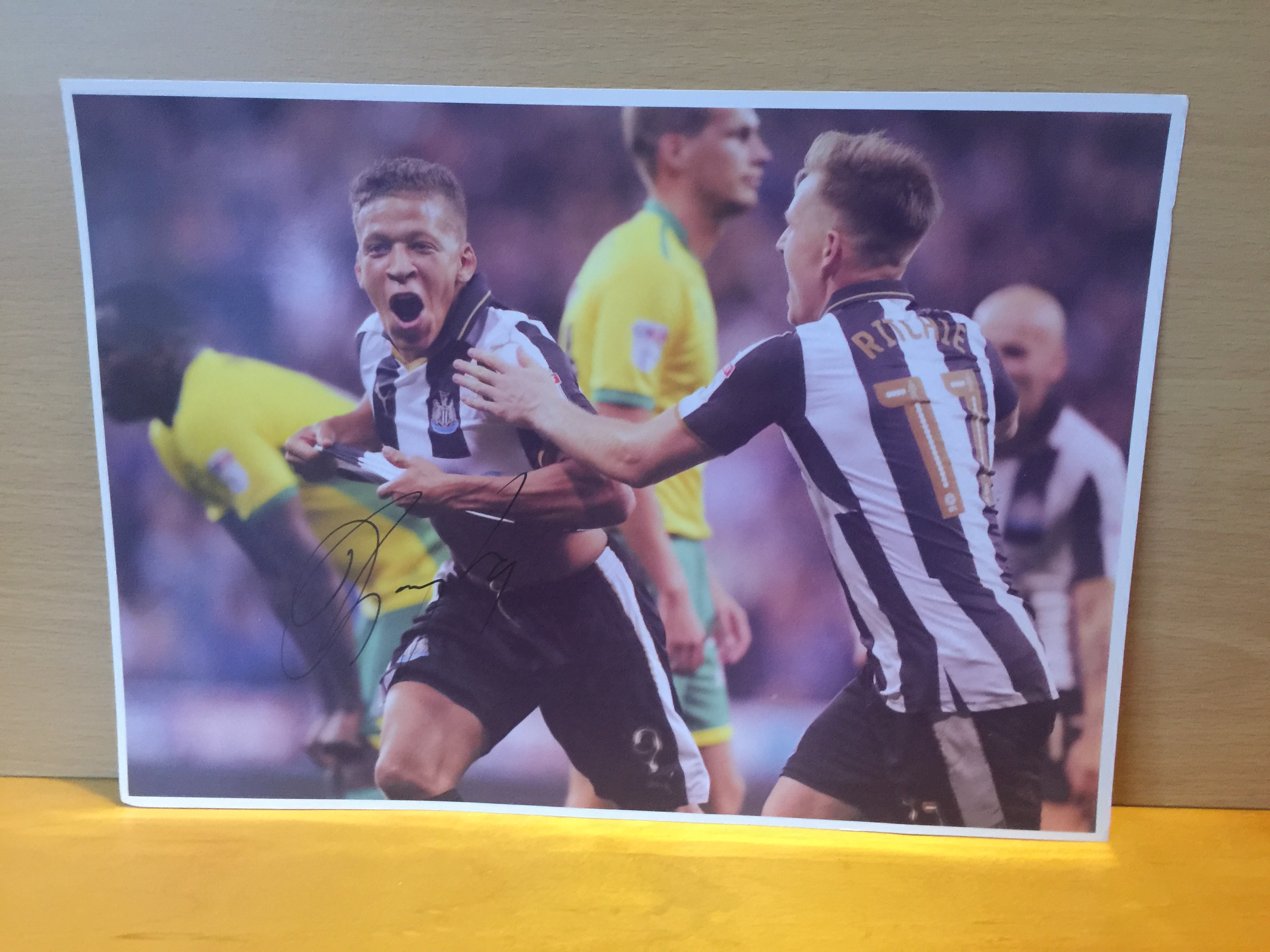 Dwight Gayle Signed Colour Photo Dwight Gayle Signed Colour Photo