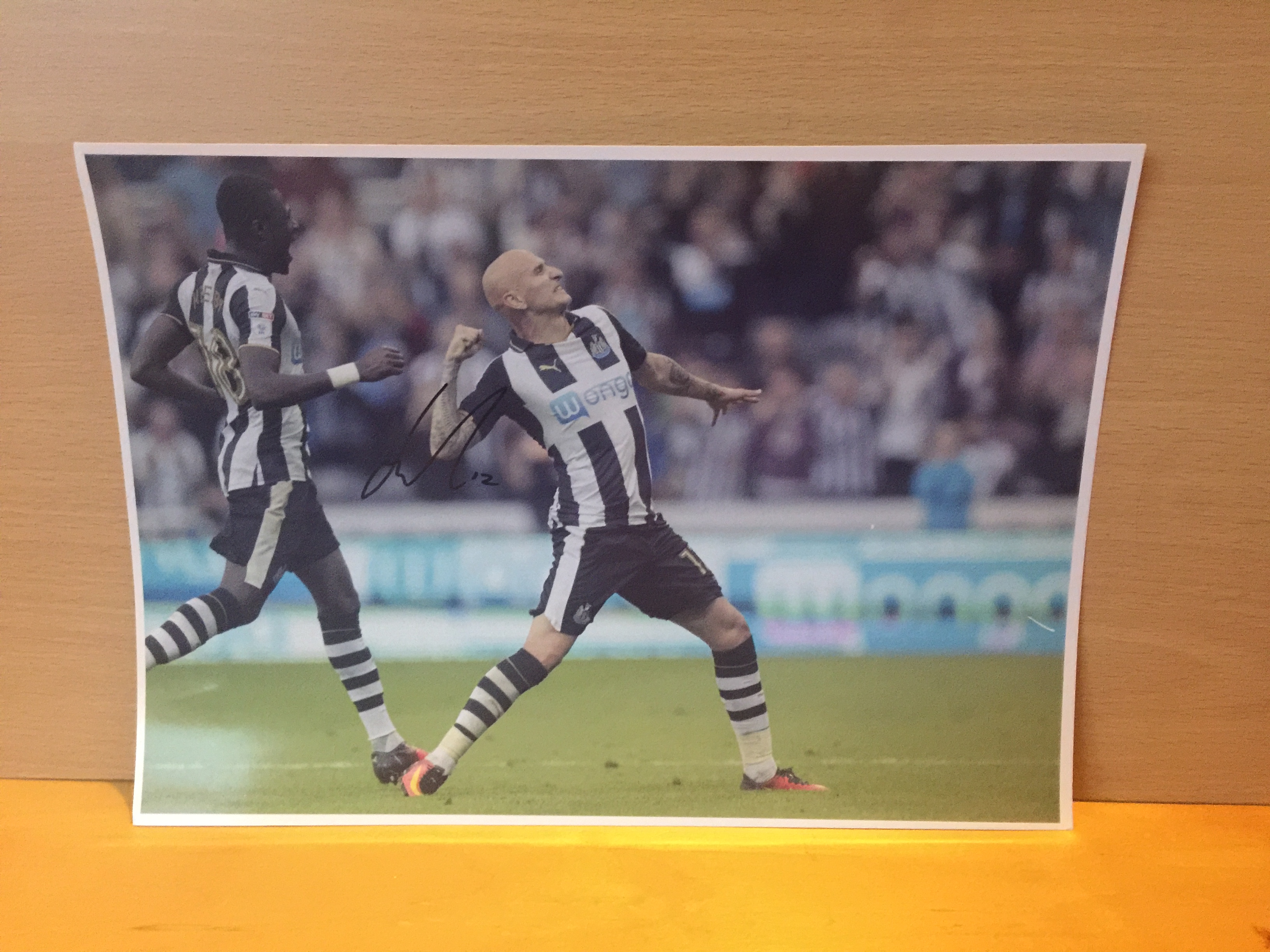 Jonjo Shelvey Signed Colour Photo Jonjo Shelvey Signed Colour Photo