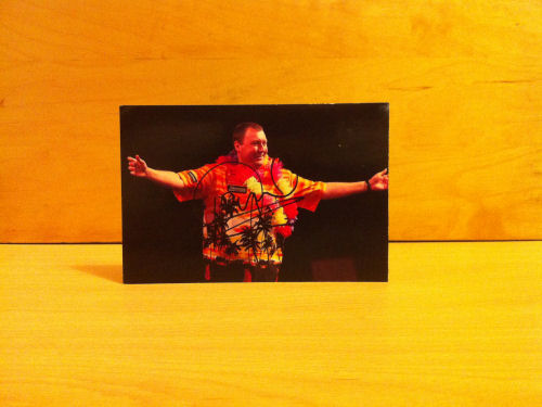 Wayne Mardle Signed Film Mount