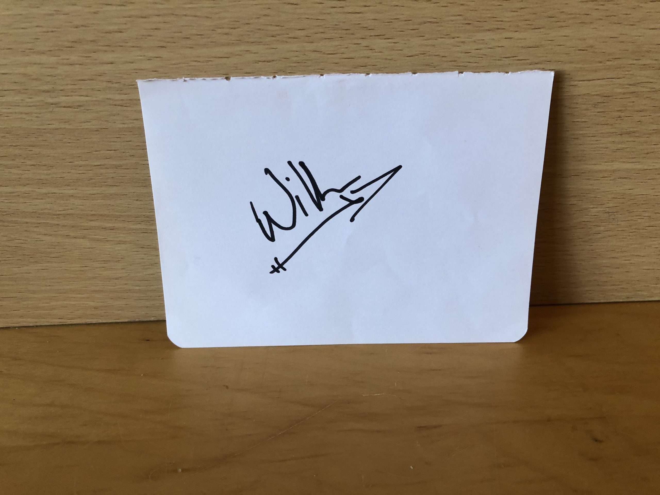 Willa Holland Signed White Card