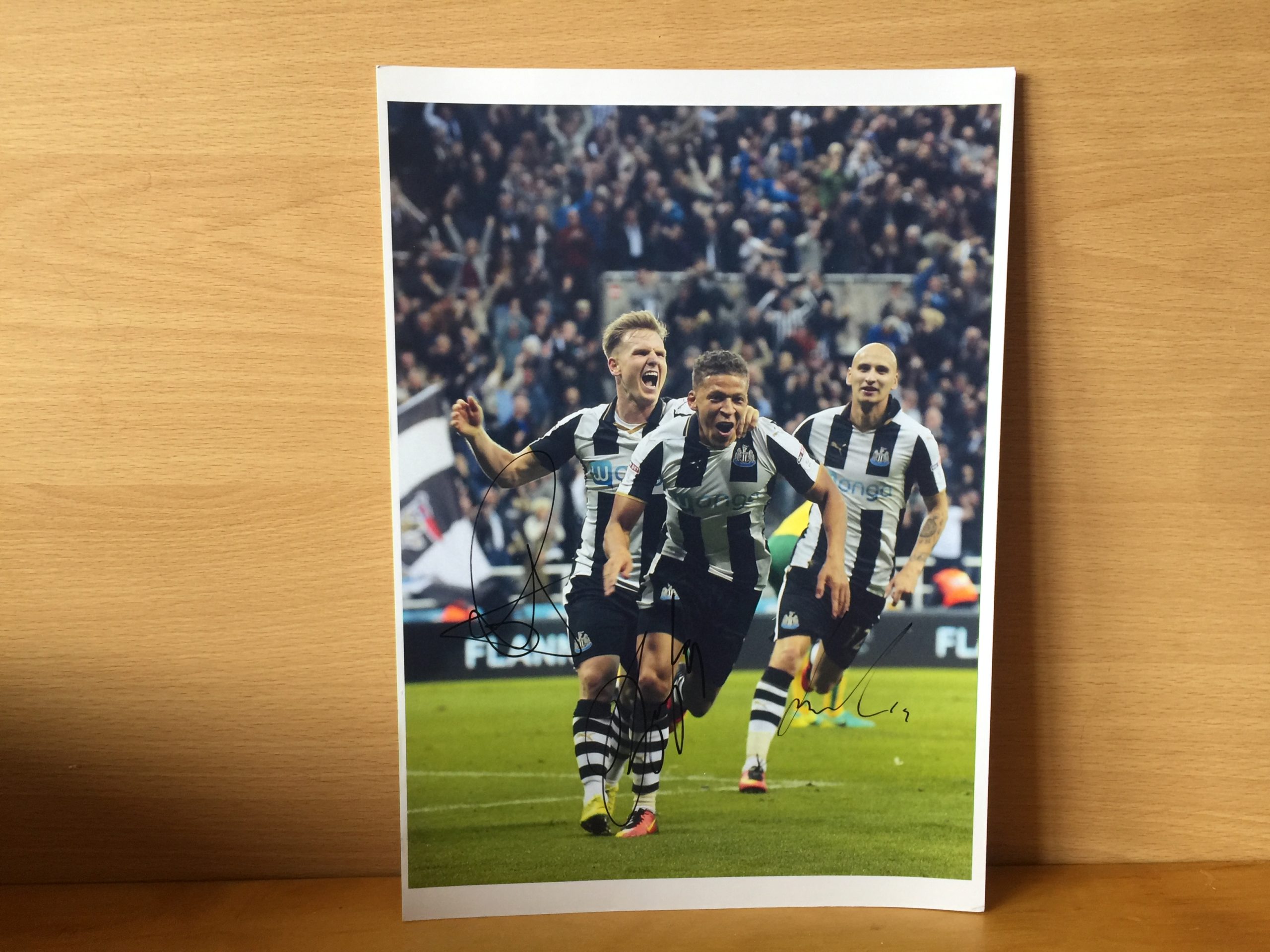 Jonjo Shelvy, Dwight Gayle and Matt Ritchie Signed Colour Photo Jonjo Shelvy, Dwight Gayle and Matt Ritchie Signed Colour Photo