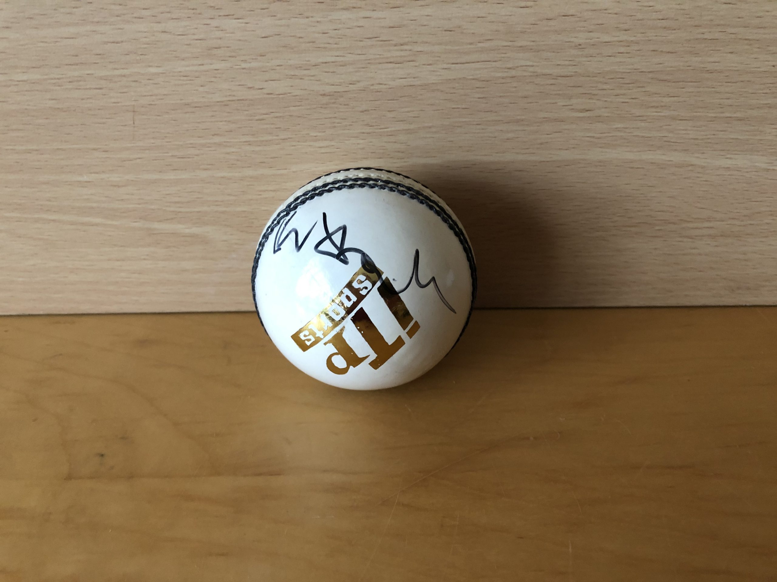 Unknown Signature on Cricket Ball