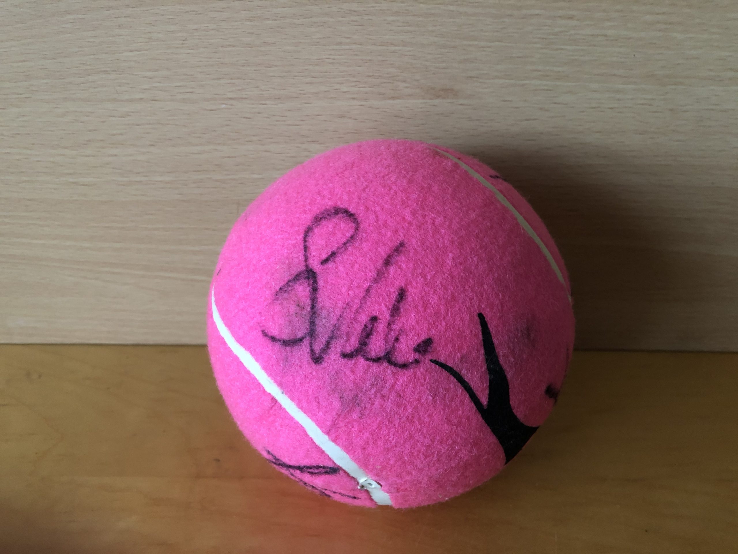 Unknown Signature on Large Tennis Ball
