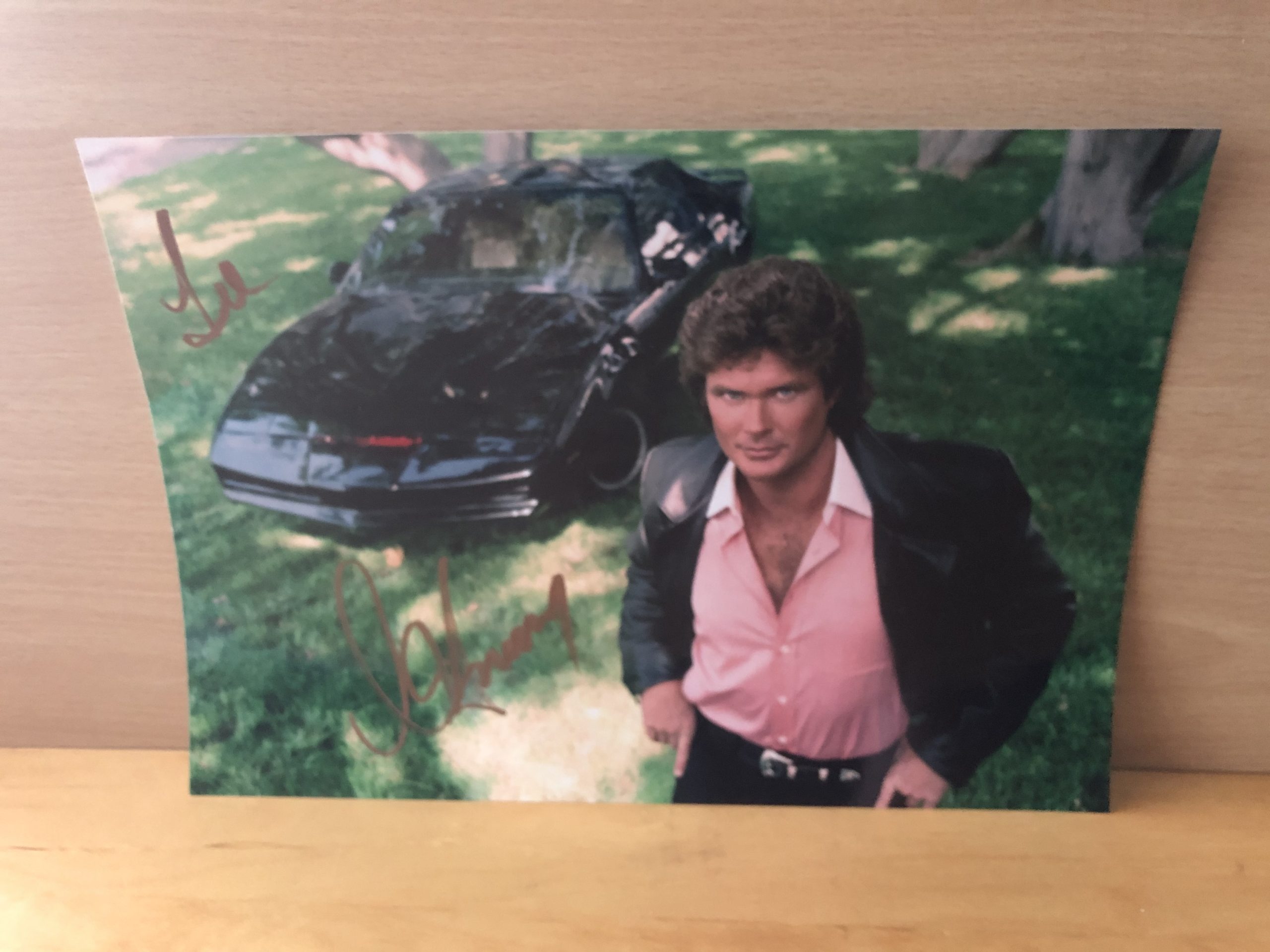 David Hasselhoff Signed Colour Photo David Hasselhoff Signed Colour Photo