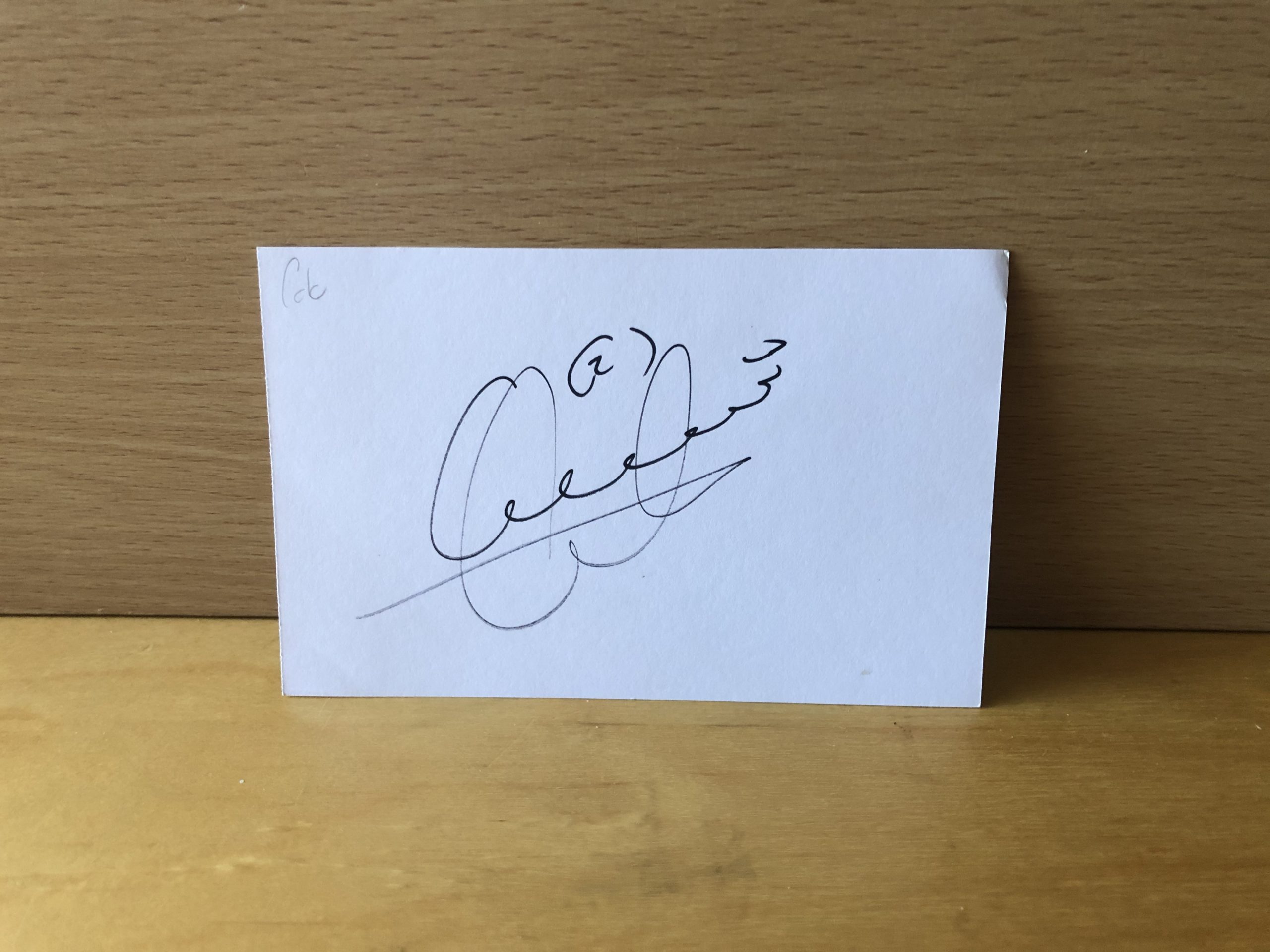 Fabricio Coloccini Signed White Card