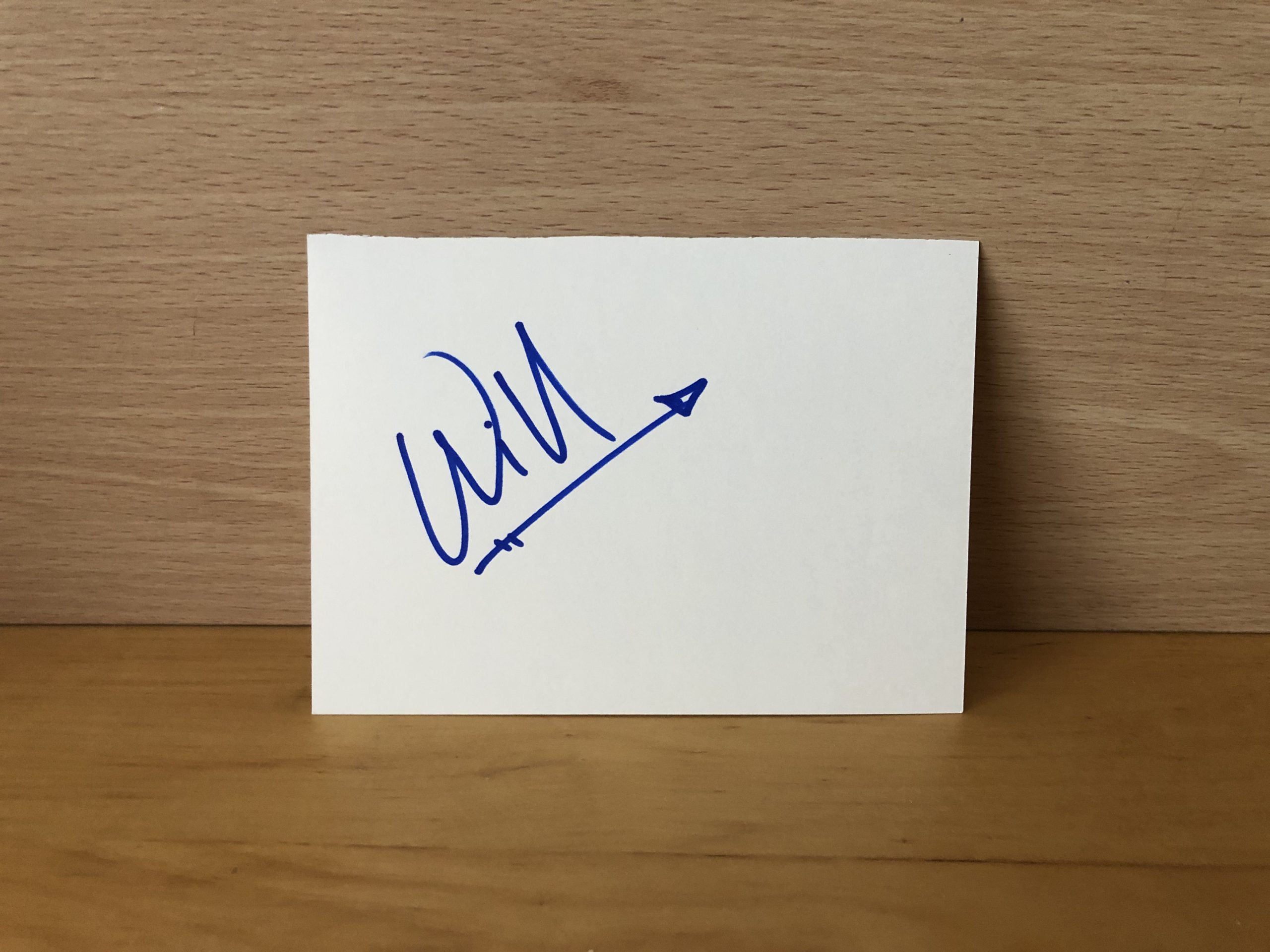 Willa Holland Signed White Card Willa Holland Signed White Card