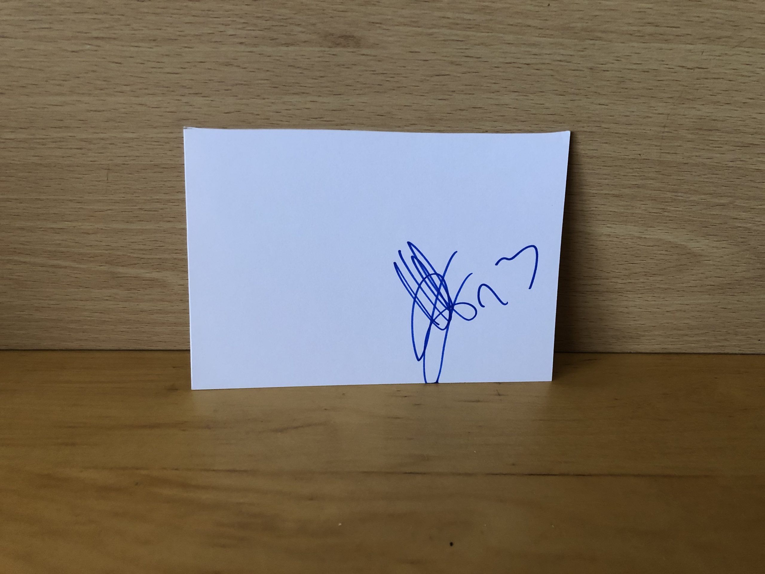 Camille Abily Signed White Card Camille Abily Signed White Card