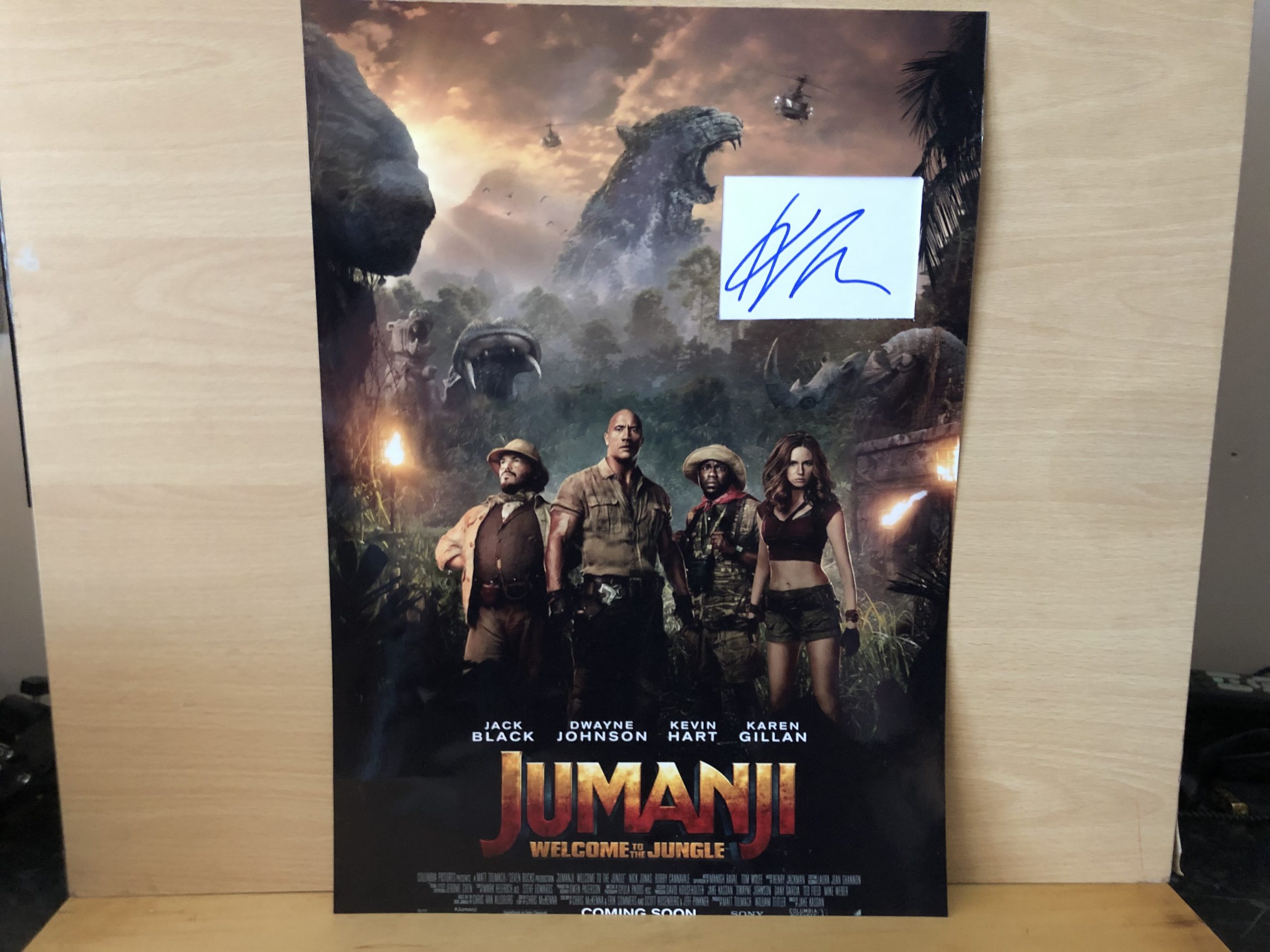 Karen Gillan Signed White Card Within A3 Colour Photo Karen Gillan Signed White Card Within A3 Colour Photo