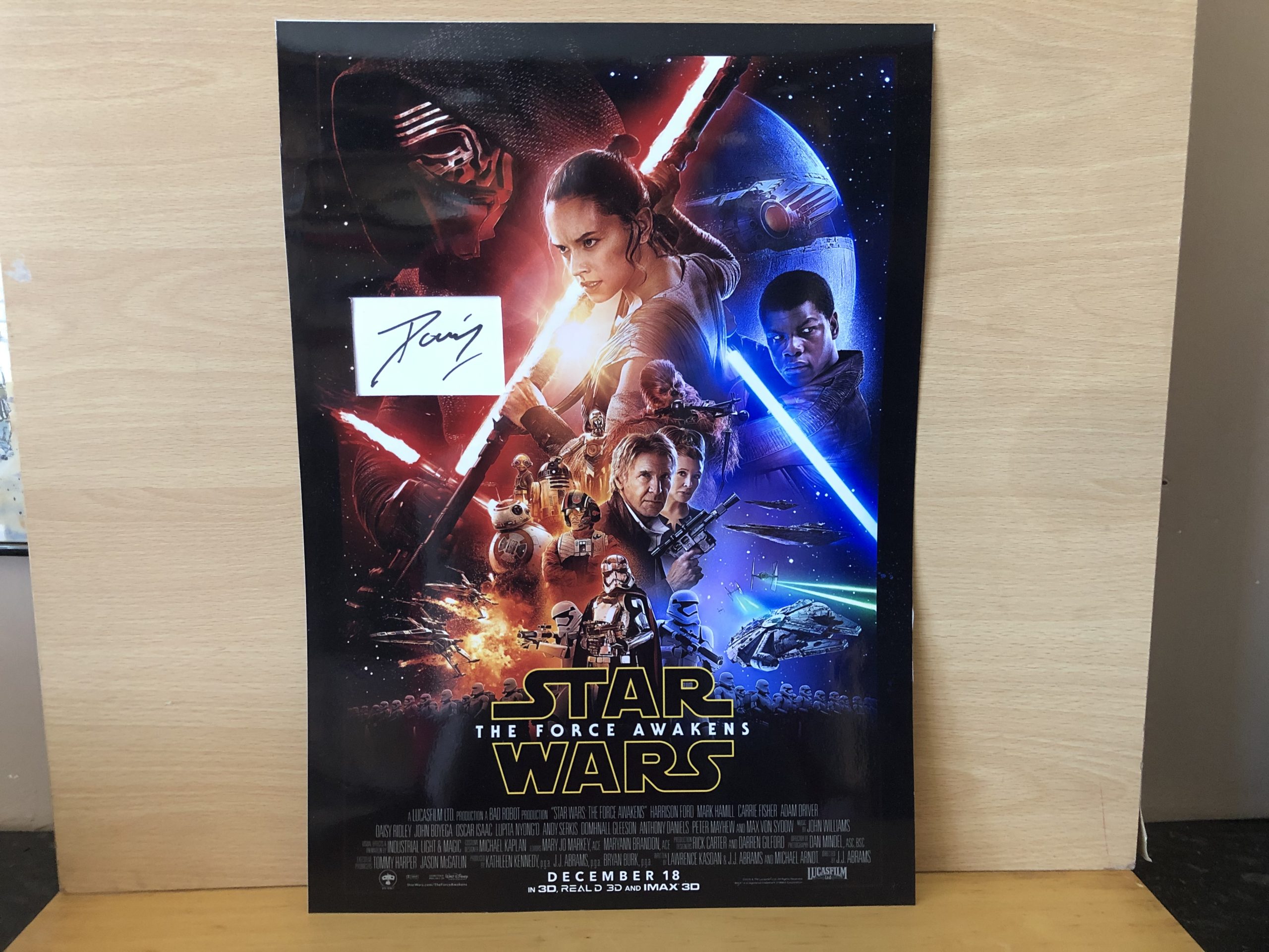 Daisy Ridley Signed White Card within A3 Colour Photo Daisy Ridley Signed White Card within A3 Colour Photo