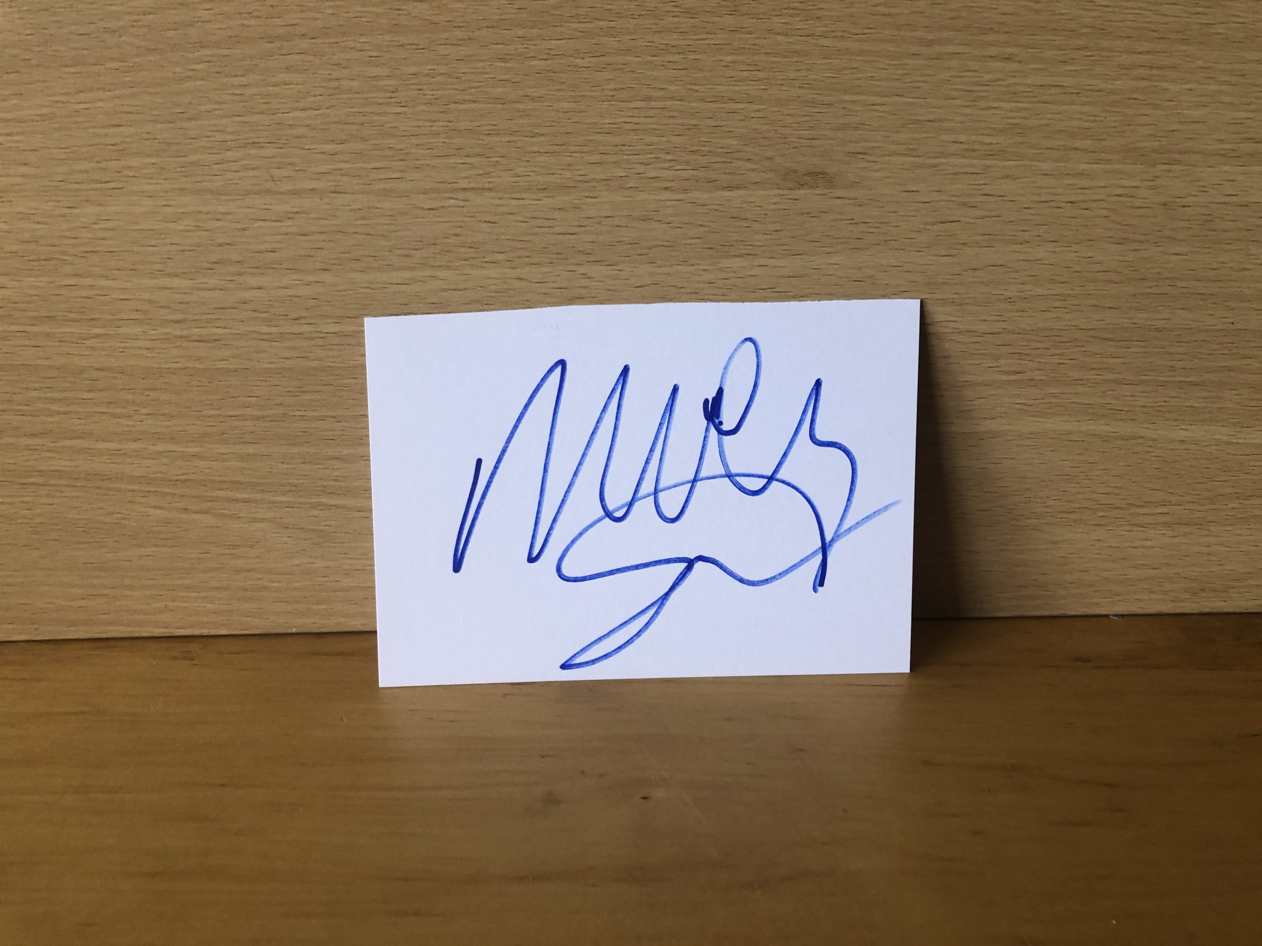 Molly Sims Signed White Card Molly Sims Signed White Card