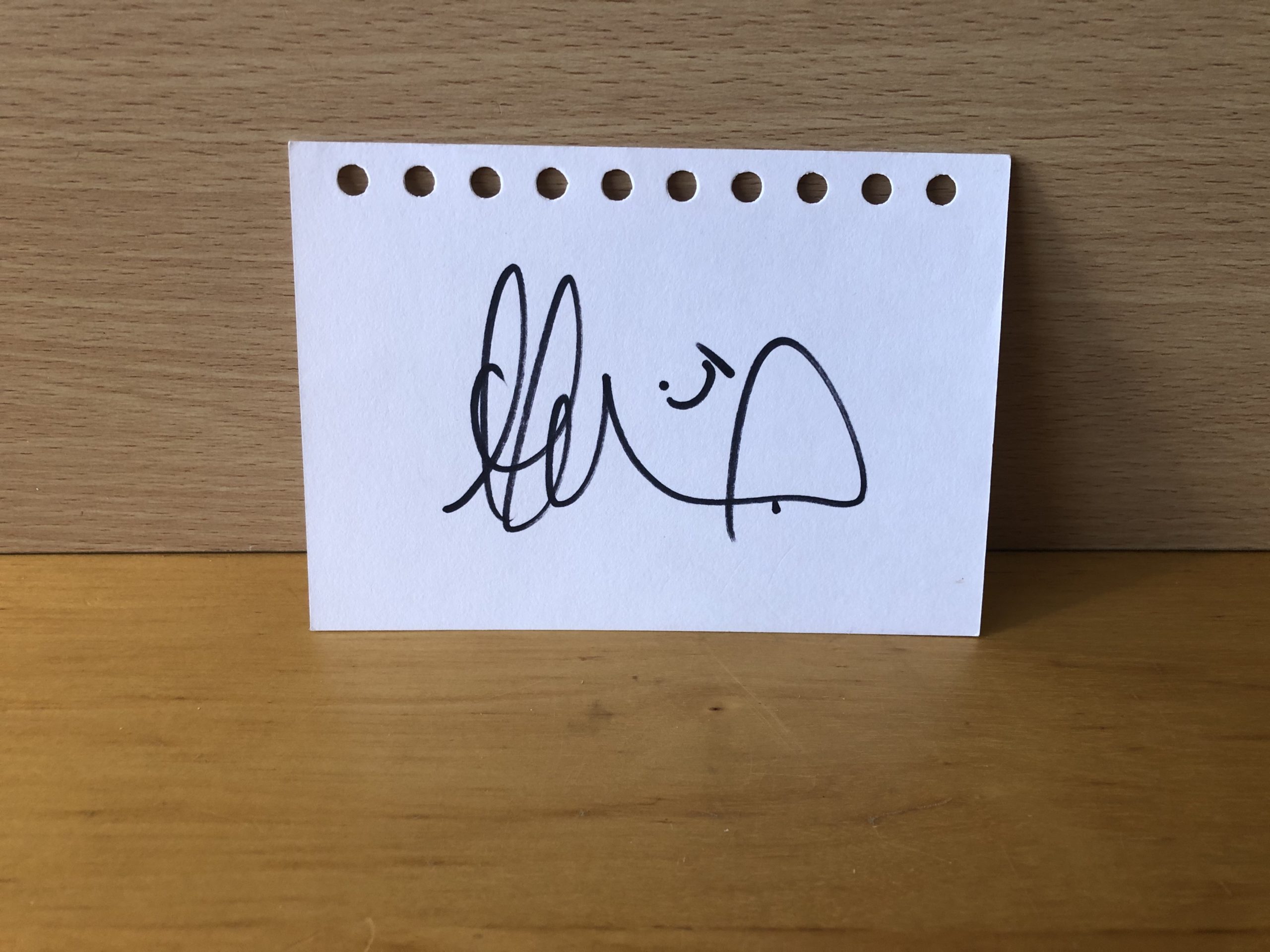 Anton Ferdinand Signed White Card Anton Ferdinand Signed White Card