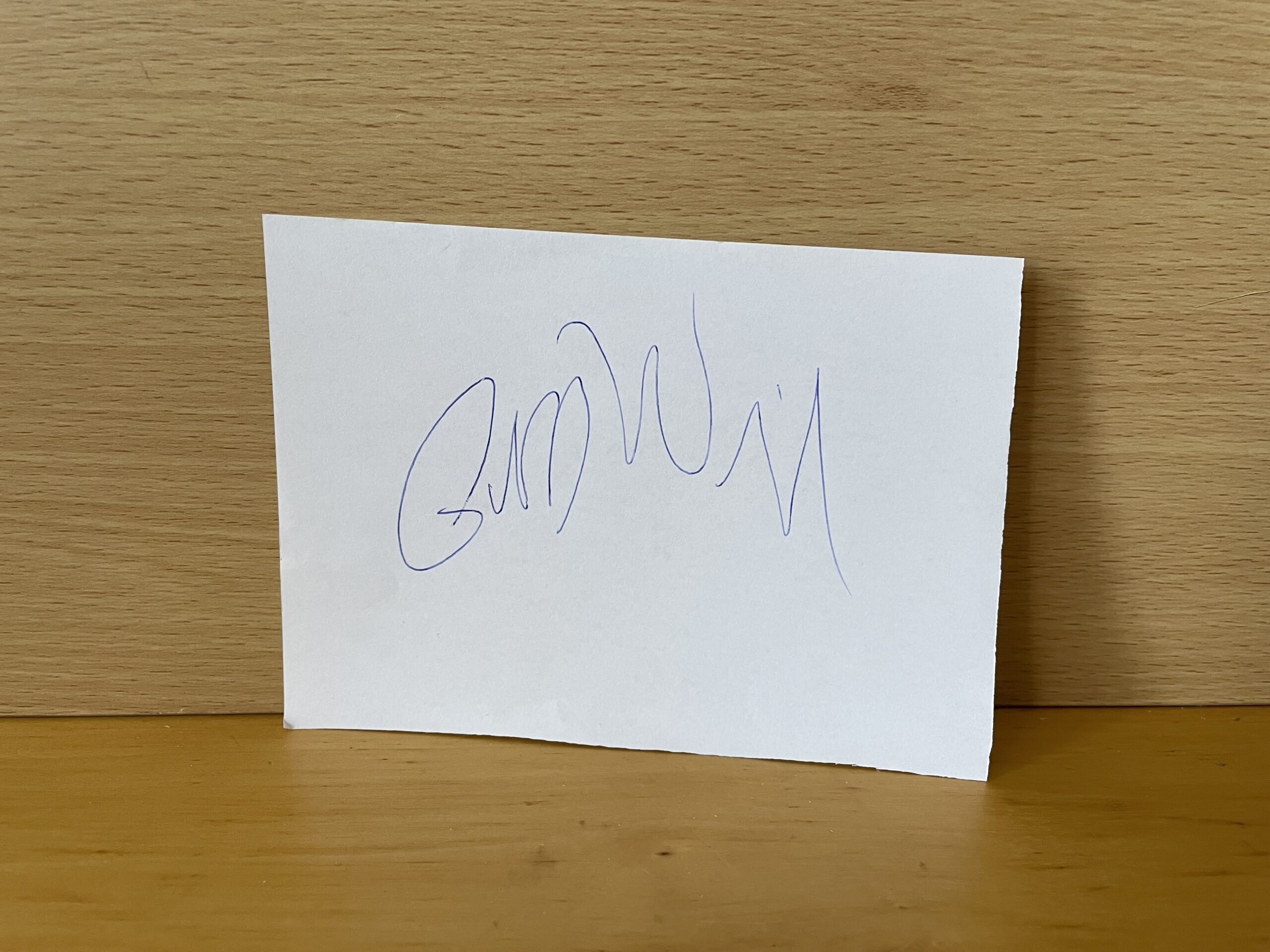 Owen Wilson Signed White Card Owen Wilson Signed White Card