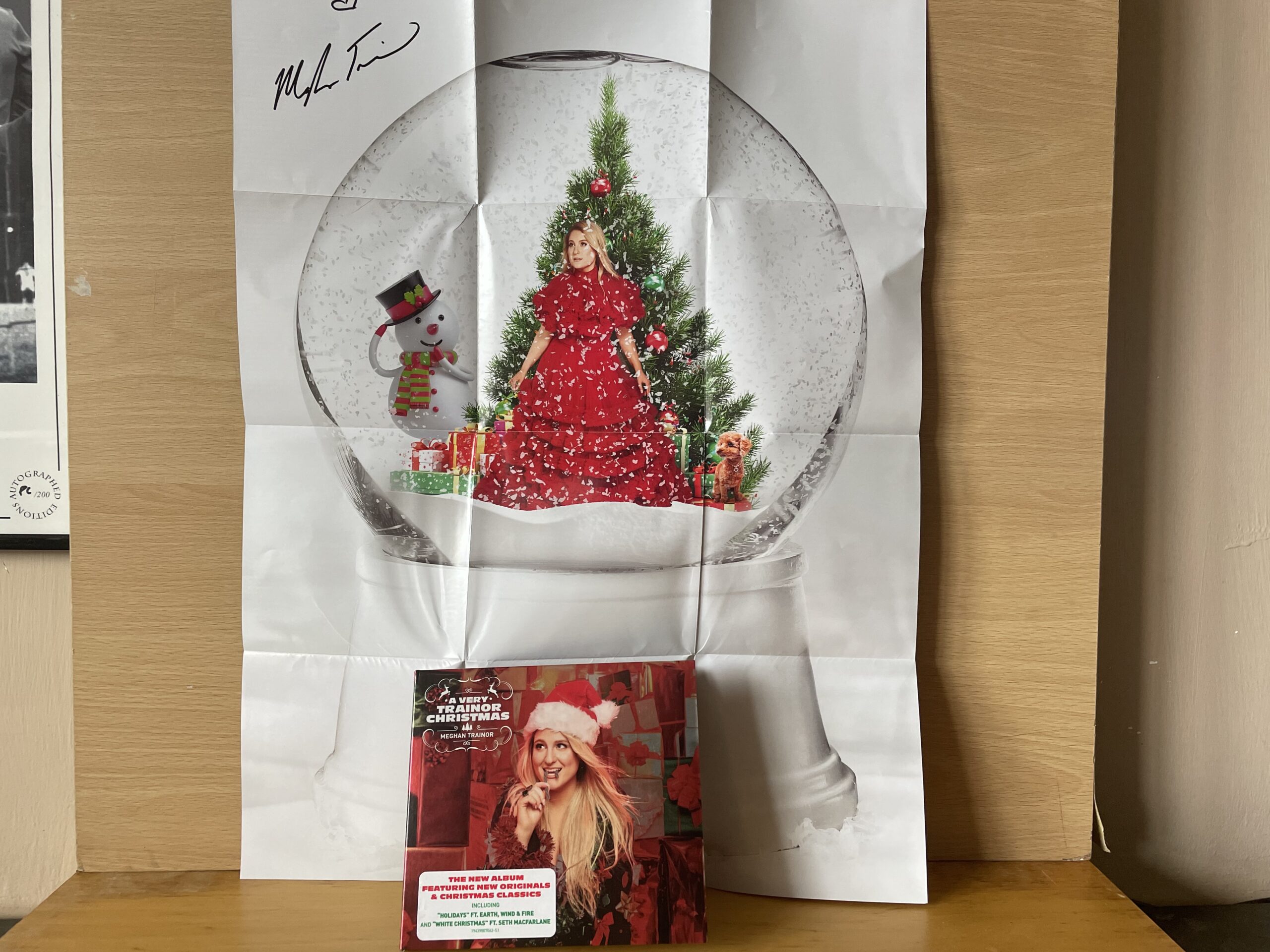 Meghan Trainor Signed Poster